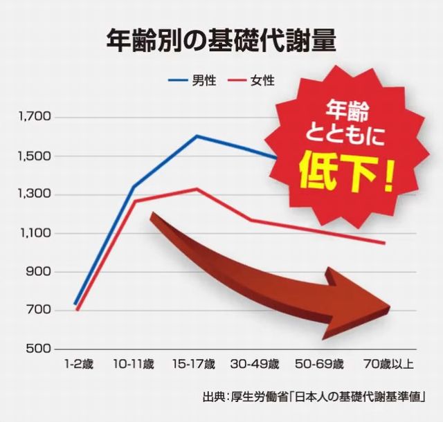 年齢とともに低下する基礎代謝量