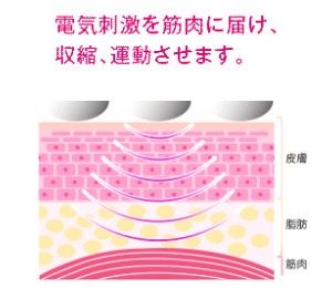 ララルーチュRF美顔器に搭載されたEMS機能