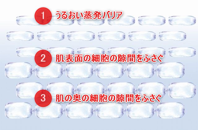 ディフェンセラに含まれる高純度グルコシルセラミドは肌に3段階のバリアを形成